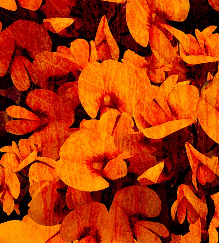 Day 42: Australian Native Floral Fabric Designs