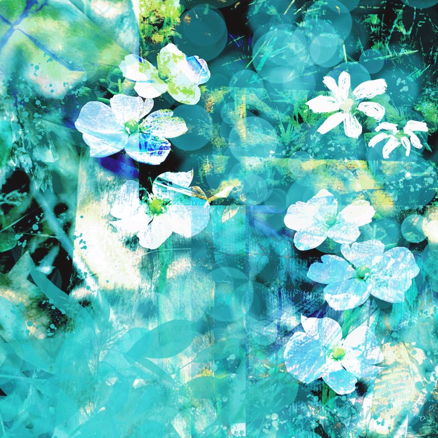 Day 24: A Word About Digital Art